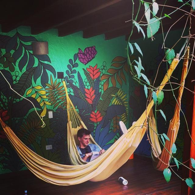 Casa Kiwi Hostel Medellín Esterno foto